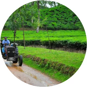 Sreemangal Upazila - 