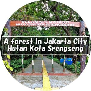 Srengseng City Forest