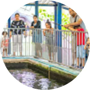 Sriracha Tiger Zoo - 