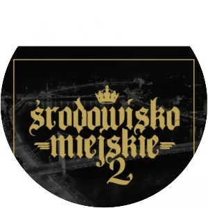 Środowisko Miejskie - Musical artist