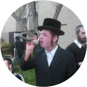 Sruly Green - Musical artist