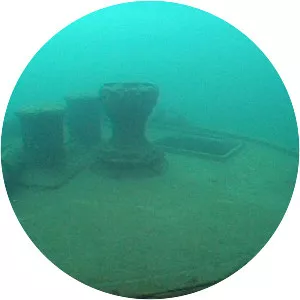 SS Thomas Wilson - Ship