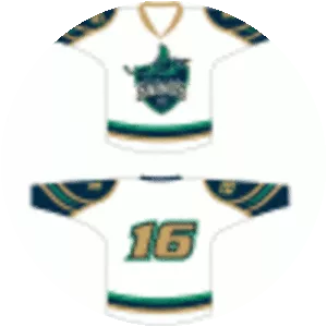 St. Clair Shores Fighting Saints