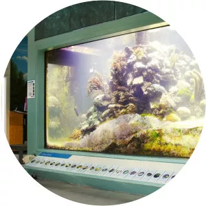 St. Lucie County Aquarium