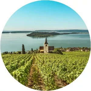 St. Peter's Island - Island in Erlach, Switzerland