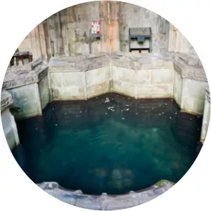 St Winefride's Well Shrine - 