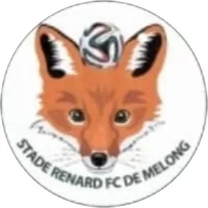 Stade Renard (Stade Renard de Melong)