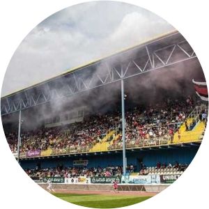 Stadionul Gaz Metan - 