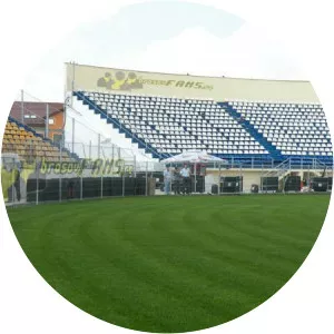 Stadionul Silviu Ploeșteanu