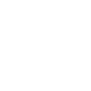 Stadiumx