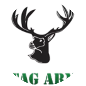 Stag Arms