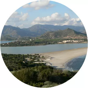 Stagno di Notteri - Wetland in Italy