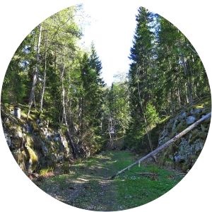 Stäketskogen Nature Reserve - 