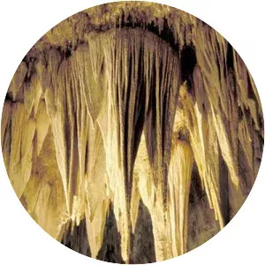 Stalactite - 
