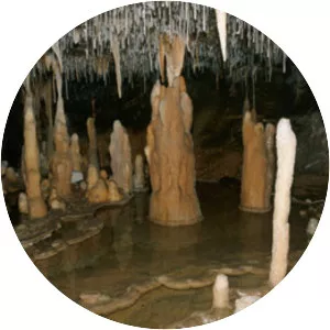 Stalagmite - 