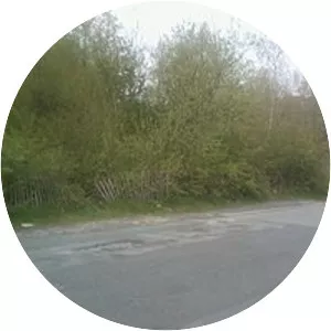 Staley and Millbrook railway station - 