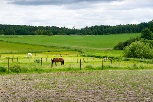 Stall Danora - Stable in Sweden
