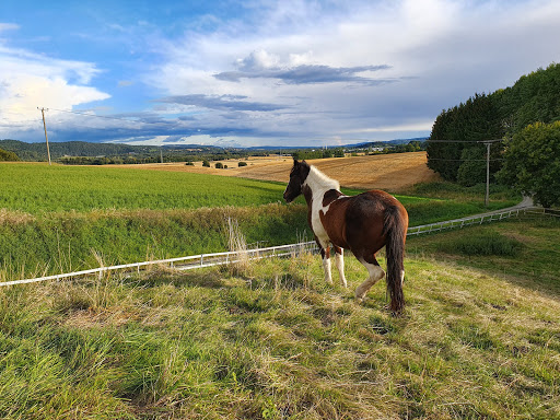 Stall Slogum - Stable in Norway