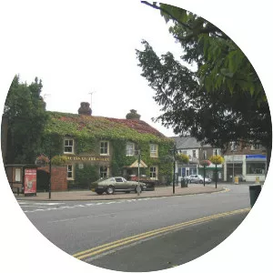 StanfordleHope - 