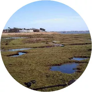 Stanpit Marsh - 