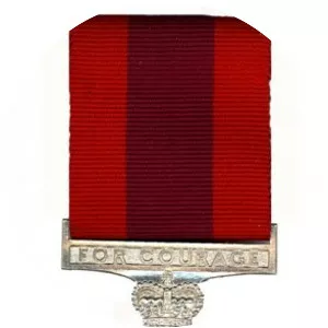 Star of Courage - Award
