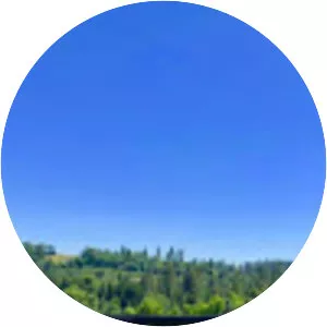 Starfield Vineyards - 