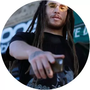 starfoxlaflare - Musical artist