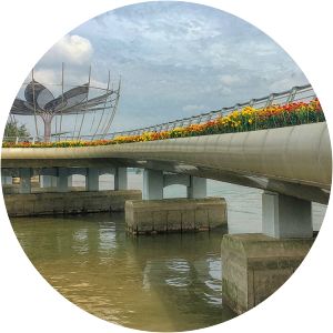 starlight bridge cầu đi bộ cần thơ - 