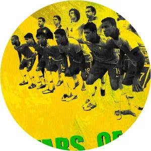 Stars of BrazilSince 2014