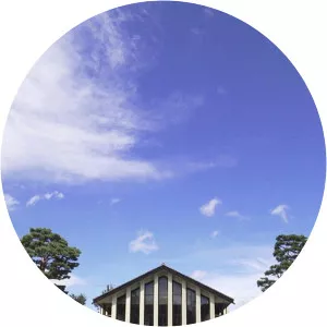 Starting Over - 1979 ‧ Romance/Comedy ‧ 1h 46m