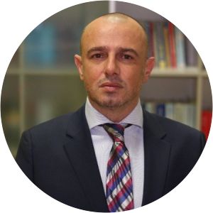 Stasa Stefanovic photograph