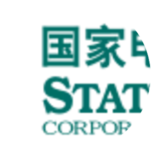 State Grid Corporation of China - Company