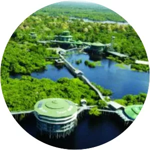 State of Amazonas - Brazilian state