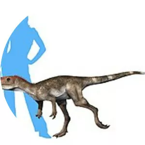 Staurikosaurus