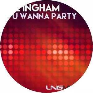 Ste Ingham - Musical artist