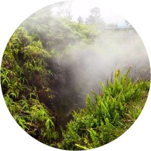 Steam Vents Pāhoa - 