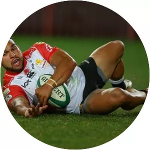 Stean Pienaar - Rugby union player