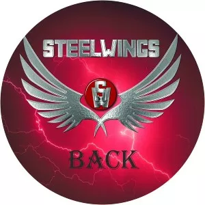 Steelwings - Musical artist