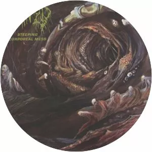 Steeping Corporeal Mess - Album by Fetid