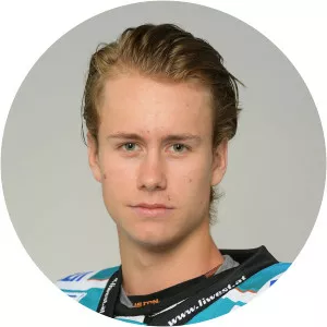 Stefan Gaffal - Ice hockey player