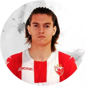 Stefan Hajdin - Serbian football player