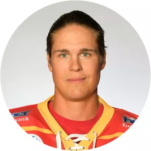 Stefan Vajs - Ice hockey player