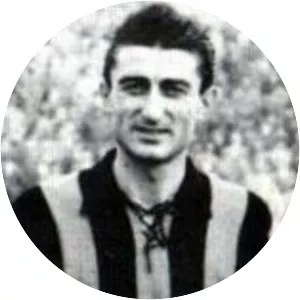 Stefano Angeleri