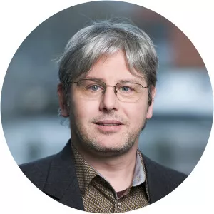 Stefano Bellucci - Researcher