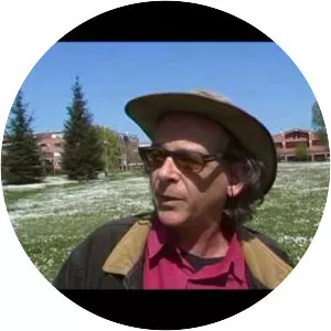 Stefano Cavedoni  Musician