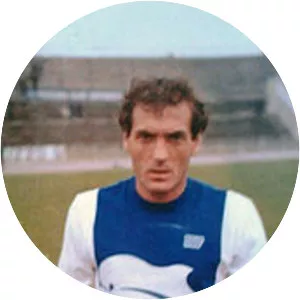 Stefano Trevisanello