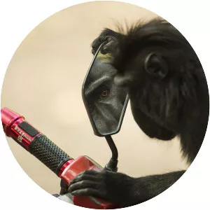 Stefano Unterthiner - Photographer