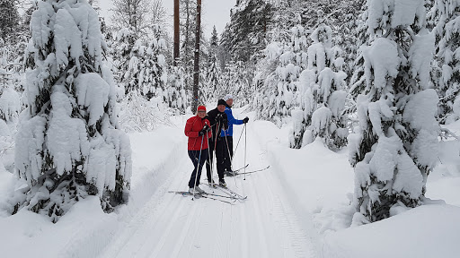 Stegen Stadion - Park in Norway