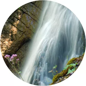 Stegovnik Falls - Waterfall in Slovenia