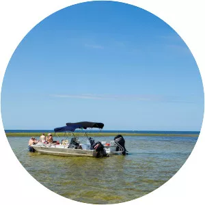 Steinhatchee - Town in Florida